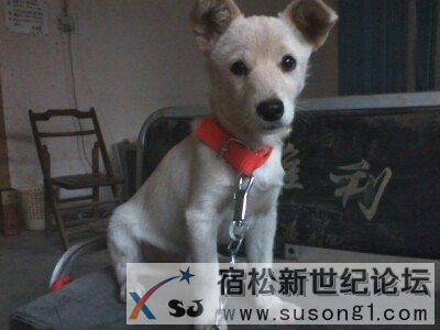 QQ图片20140819110154.jpg