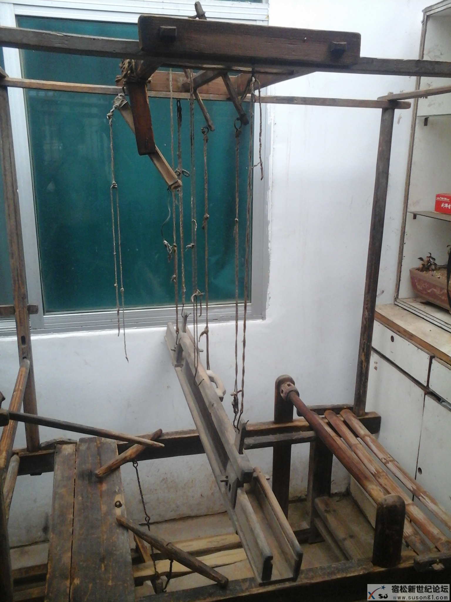 20140823_090051.jpg