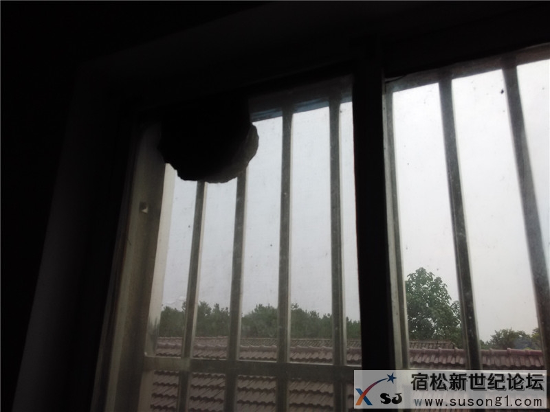 宿松新世纪论坛《周末走基层》栏目组走进宿松消防133.jpg