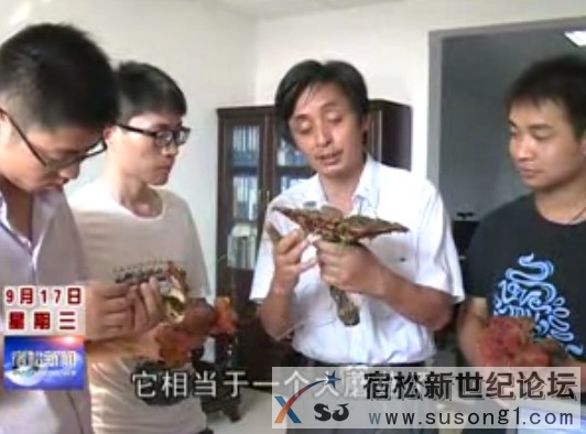 QQ截图20140918203808.jpg