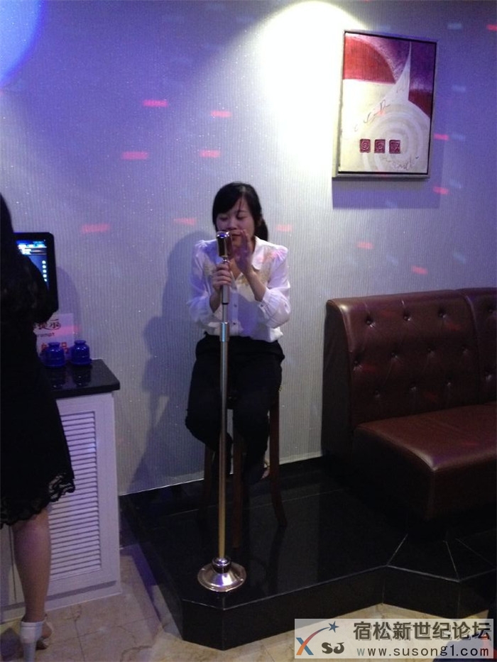 宿松新世纪论坛07.jpg