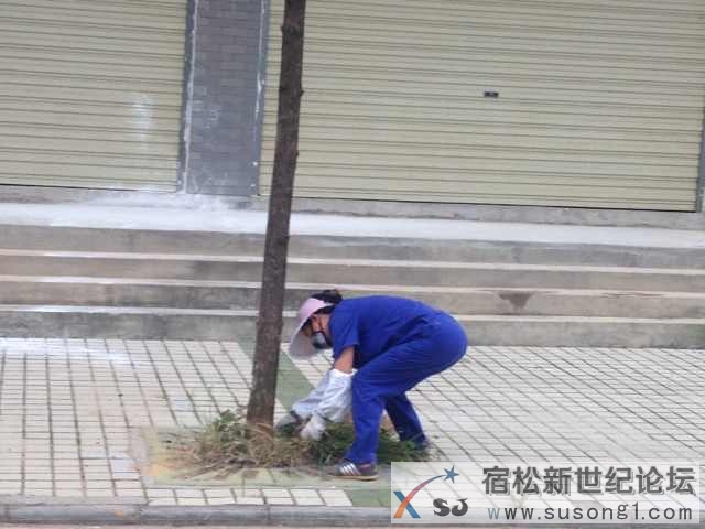 宿松新世纪论坛.jpg