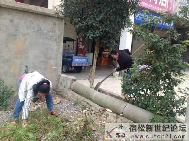 宿松新世纪论坛 (5).jpg