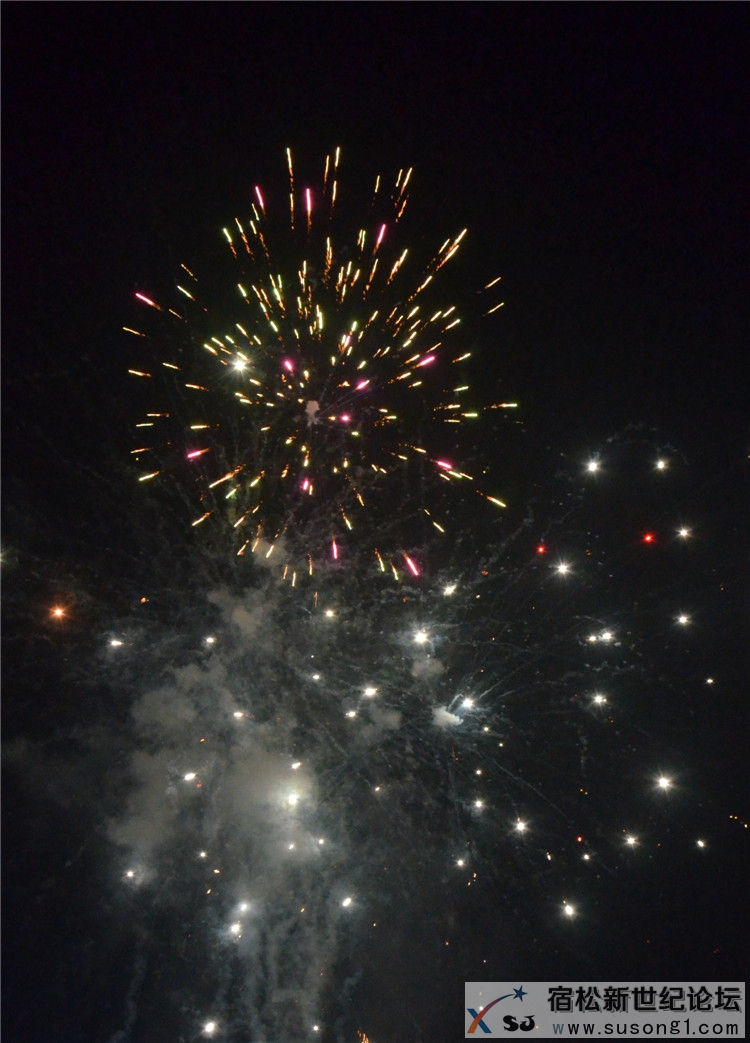 宿松山水公园看烟花26.jpg