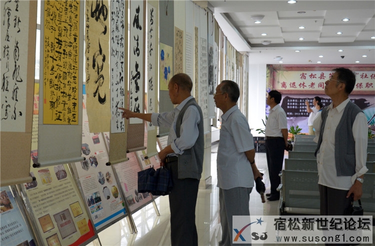 宿松迎双节举办“社保杯”离退休老同志及参保职工书画展05.jpg