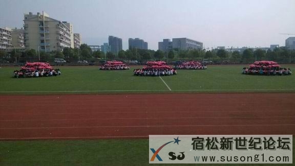 QQ图片20141003093739.jpg