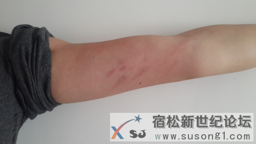 20141002_135057.jpg