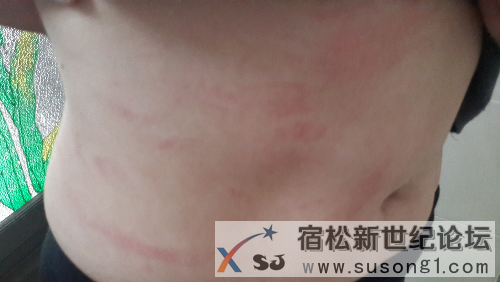 20141002_135338.jpg