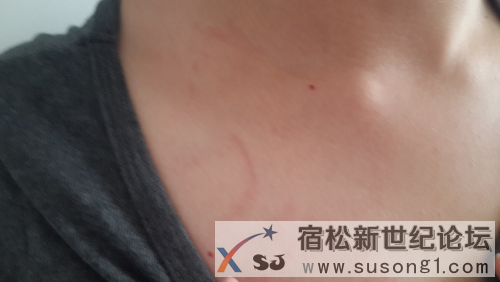 20141002_135139.jpg