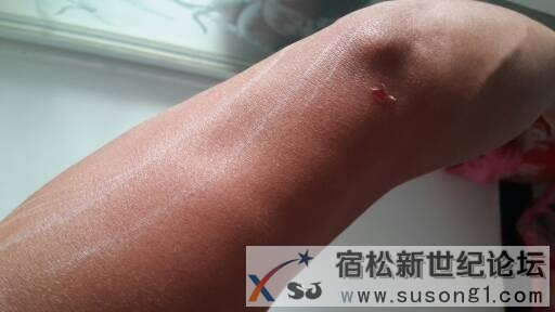 20141005_154145.jpg.JPG