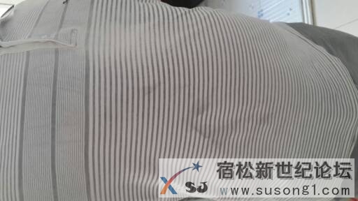 20141005_154643.jpg.JPG
