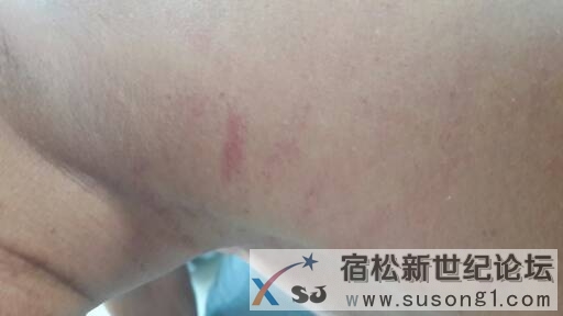 20141005_155232.jpg.JPG