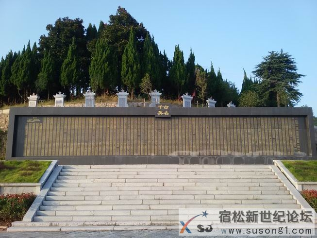 20141004_171103.jpg