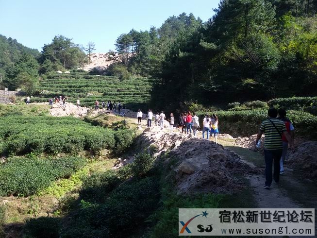 20141004_100425.jpg