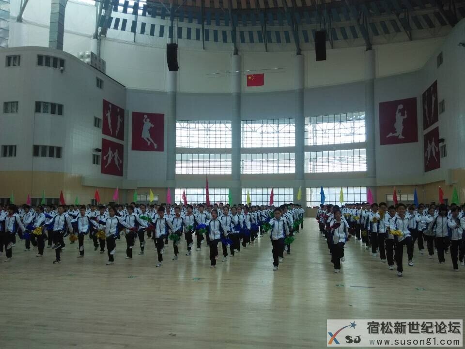 QQ图片20141009090706.jpg