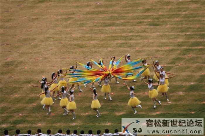 宿松新世纪论坛直播第十三届省运会05.jpg