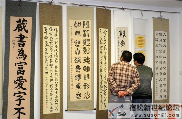 宿松新世纪论坛直播第十三届陈晓明书画01.jpg