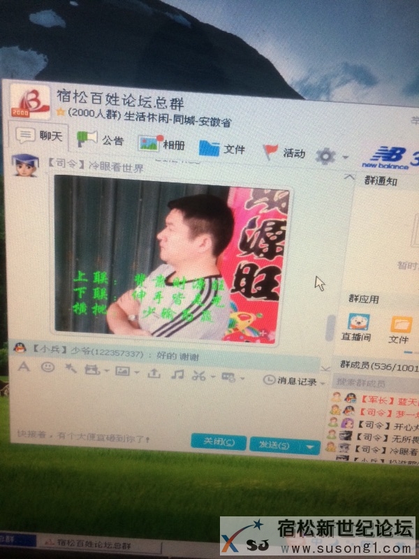 image.jpg