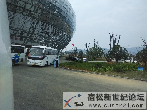IMG_20141017_122208.jpg