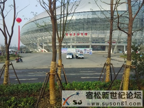 IMG_20141020_075600.jpg