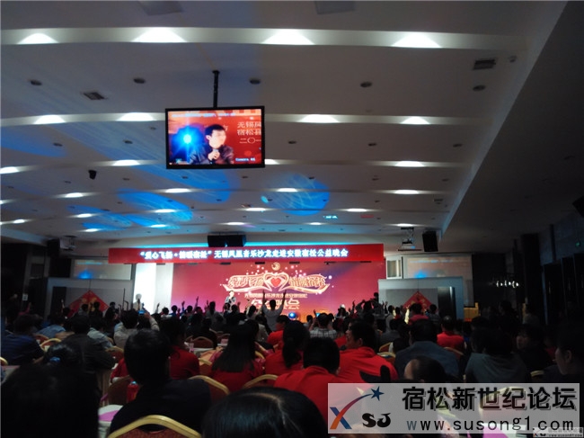 “爱心飞扬 情暖宿松”无锡凤凰音乐沙龙走进宿松公益晚会01.jpg