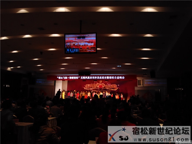 “爱心飞扬 情暖宿松”无锡凤凰音乐沙龙走进宿松公益晚会02.jpg