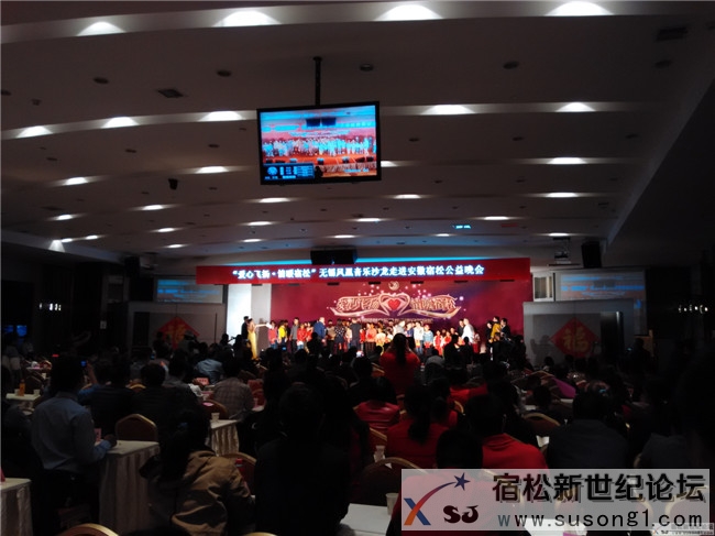 “爱心飞扬 情暖宿松”无锡凤凰音乐沙龙走进宿松公益晚会03.jpg