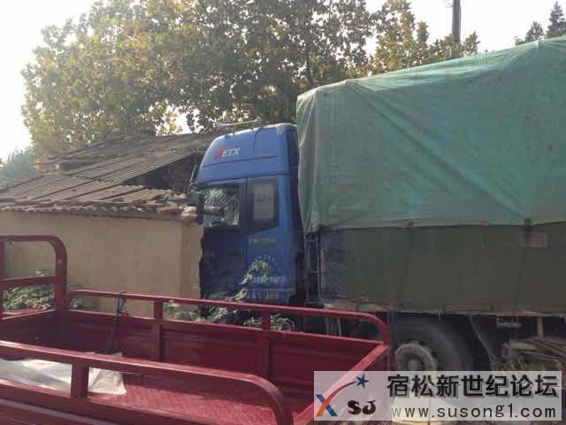 宿松新世纪论坛 (1).jpg