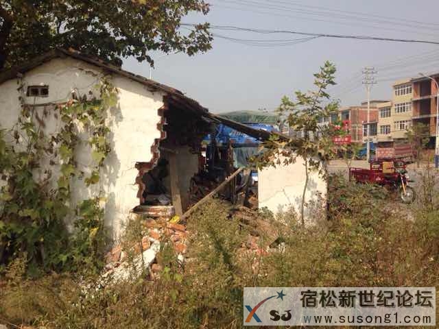 宿松新世纪论坛 (3).jpg
