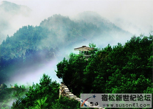 宿松，新世纪论坛 (3).jpg