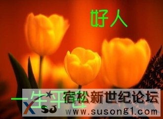 t016440970d5693cac1.jpg