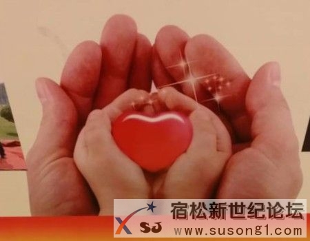 安徽省人体器官捐献骨干人才培训 (2).jpg