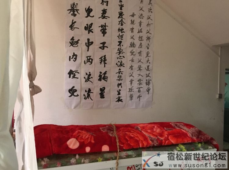 QQ截图20141112193646.jpg