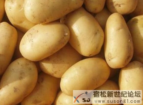 QQ截图20141127201344.jpg