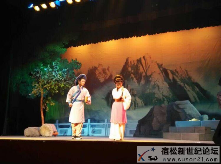 宿松黄梅戏公司在上海演出 (2).jpg