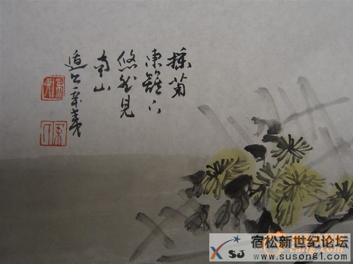 2013020108584023085860.JPG