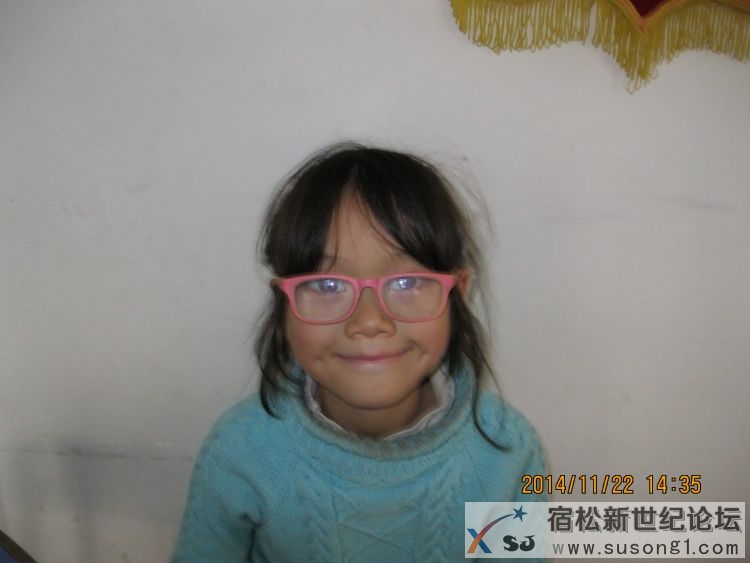 贺子琴1.jpg