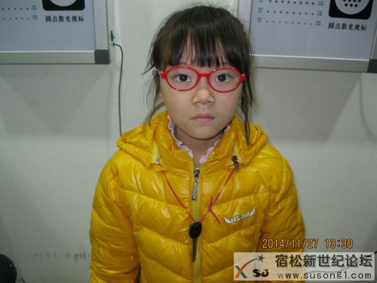 贺子琴.jpg