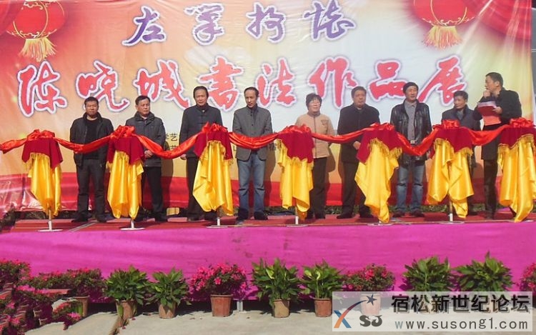 陈晓城书法作品展在松月堂艺术交流中心举行，宿松新世纪论坛摄 (1).jpg