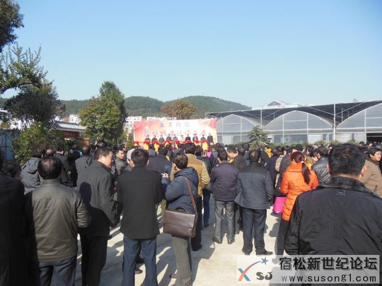 陈晓城书法作品展在松月堂艺术交流中心举行，宿松新世纪论坛摄 (2).jpg