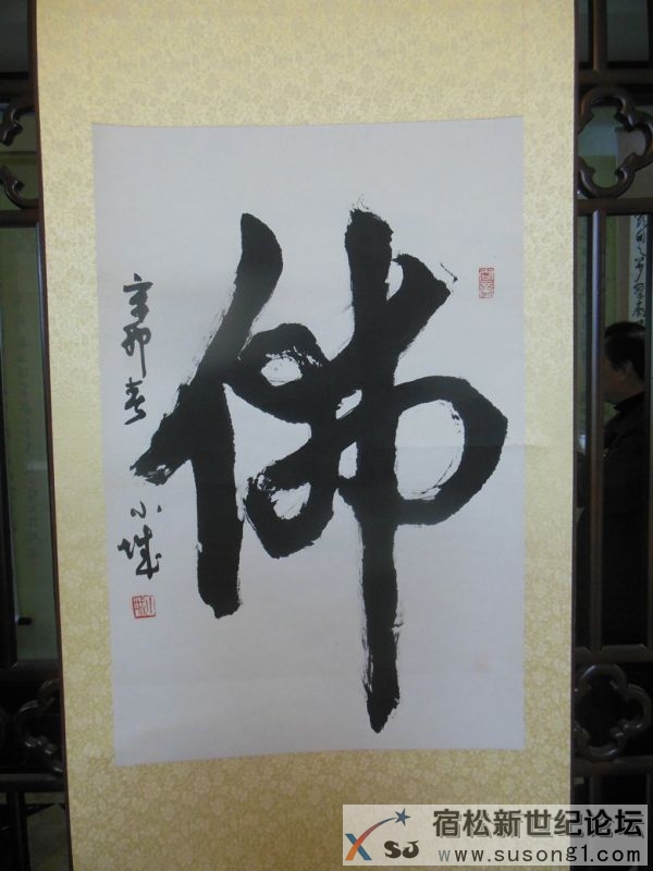 陈晓城书法作品展在松月堂艺术交流中心举行，宿松新世纪论坛摄 (3).jpg
