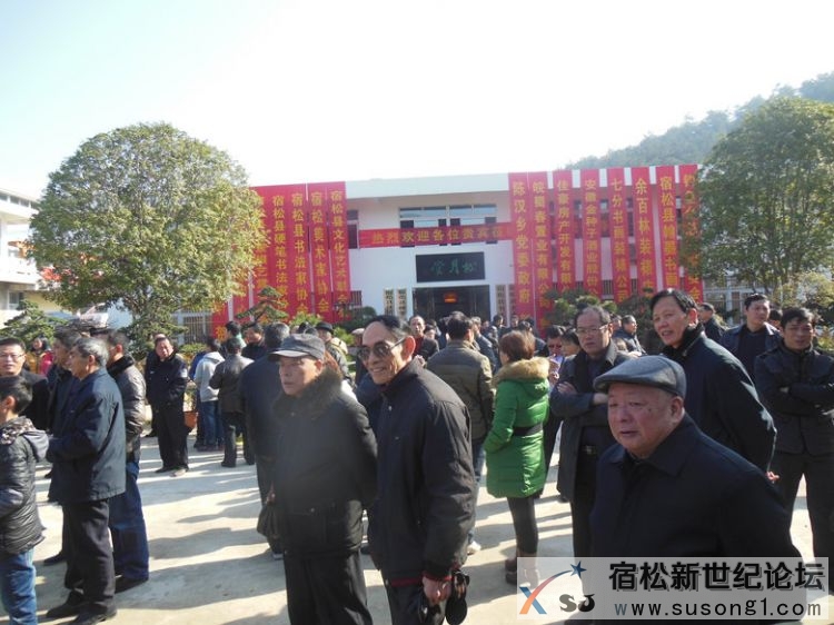 陈晓城书法作品展在松月堂艺术交流中心举行，宿松新世纪论坛摄 (4).jpg