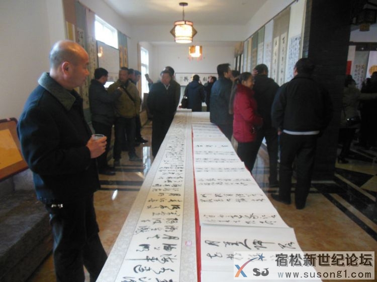 陈晓城书法作品展在松月堂艺术交流中心举行，宿松新世纪论坛摄.jpg