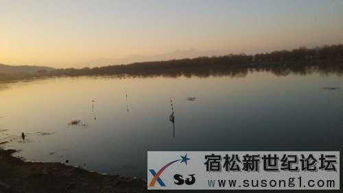 IMG_20150102_073643.jpg