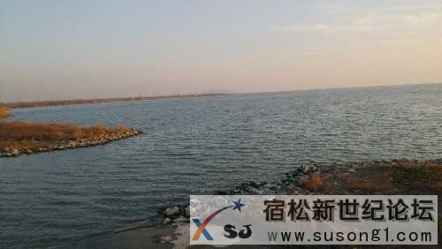 IMG_20150101_164100.jpg