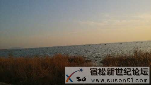 IMG_20150101_163622.jpg