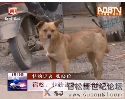 QQ截图20150120114457.jpg