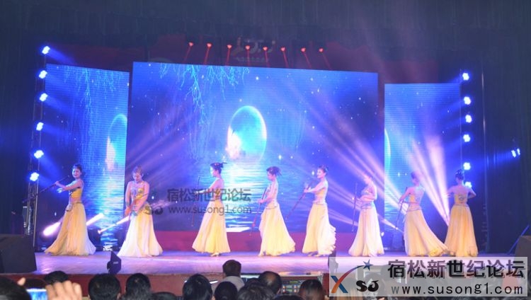 斯琴高丽宿松演唱会，宿松新世纪论坛何仁摄02.jpg