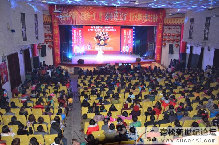 斯琴高丽宿松演唱会，宿松新世纪论坛何仁摄03.jpg