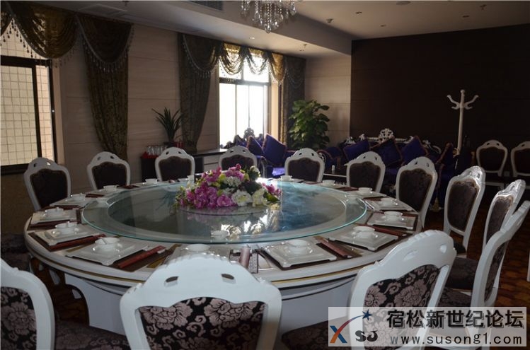 盛豪大厦暨钻石名典茶餐厅盛大开业宿松新世纪论坛摄08.jpg